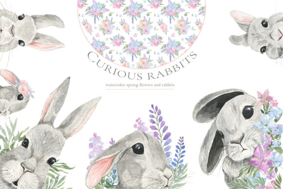 Curious Rabbit. Watercolor. Illustrations