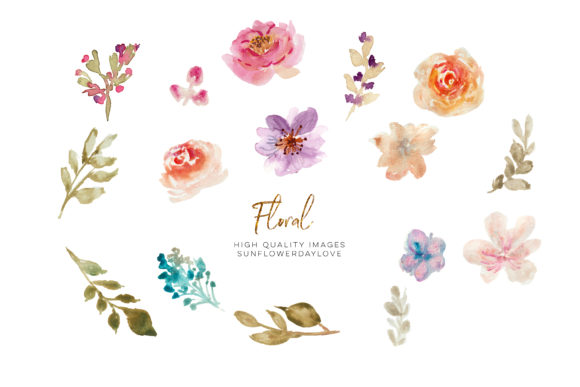 Hand Painted Watercolour Floral Clipart and Illustrations