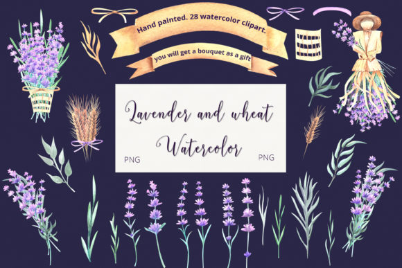 Lavender and Wheat. Watercolor Clipart