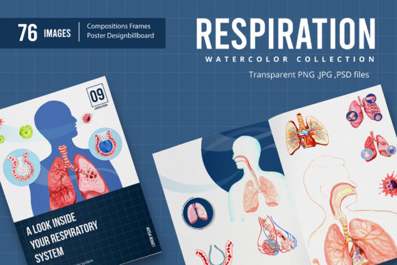 Respiratory System Watercolor Illustrations