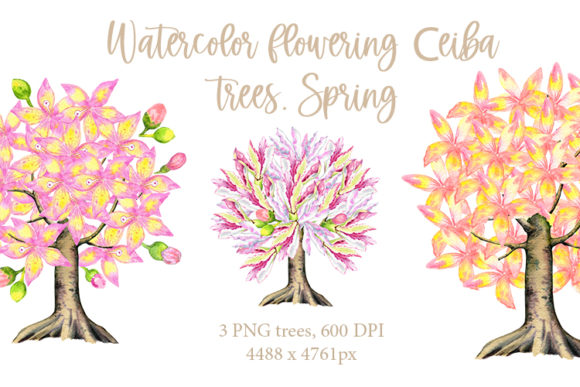Watercolor Blooming Ceiba Trees. Spring Illustrations