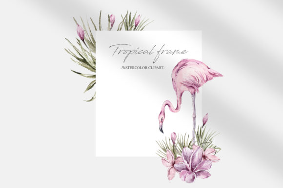 Watercolor Floral Flamingo Frame Clipart and Illustrations