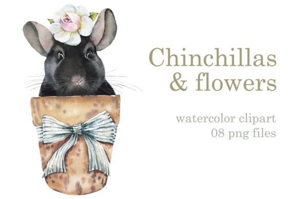 Watercolor Flower Chichillas Illustrations