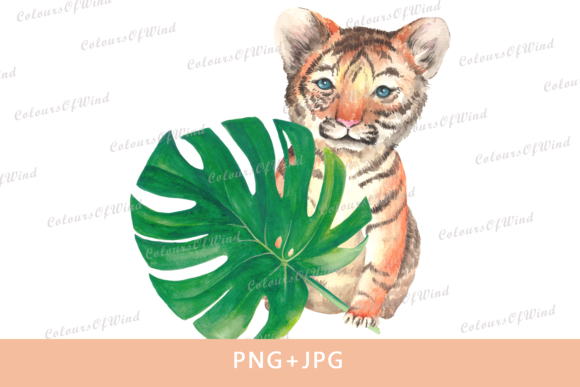 Watercolor Jungle Baby Tiger PNG