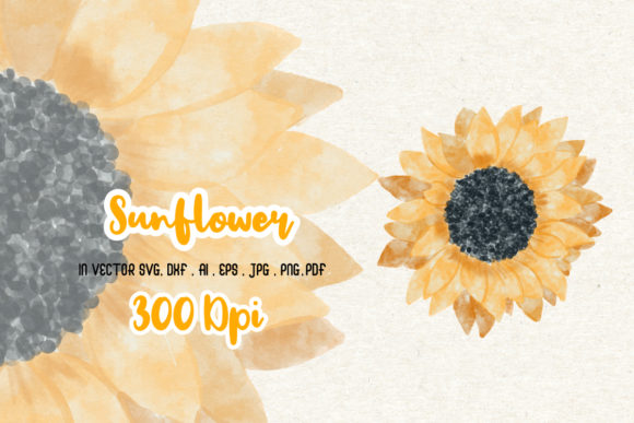 Watercolor-Sunflower Graphics and Illustrations