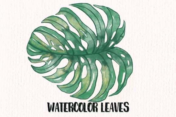 Watercolor Tropical Leaves Tree Illustrations